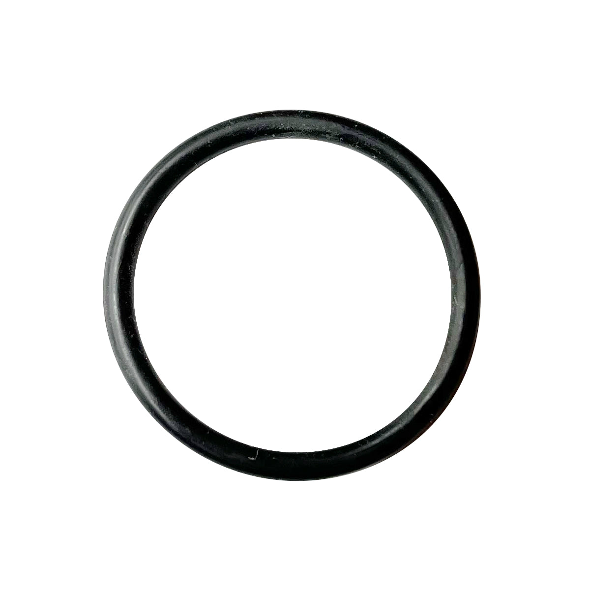 O-RING | 100748A1