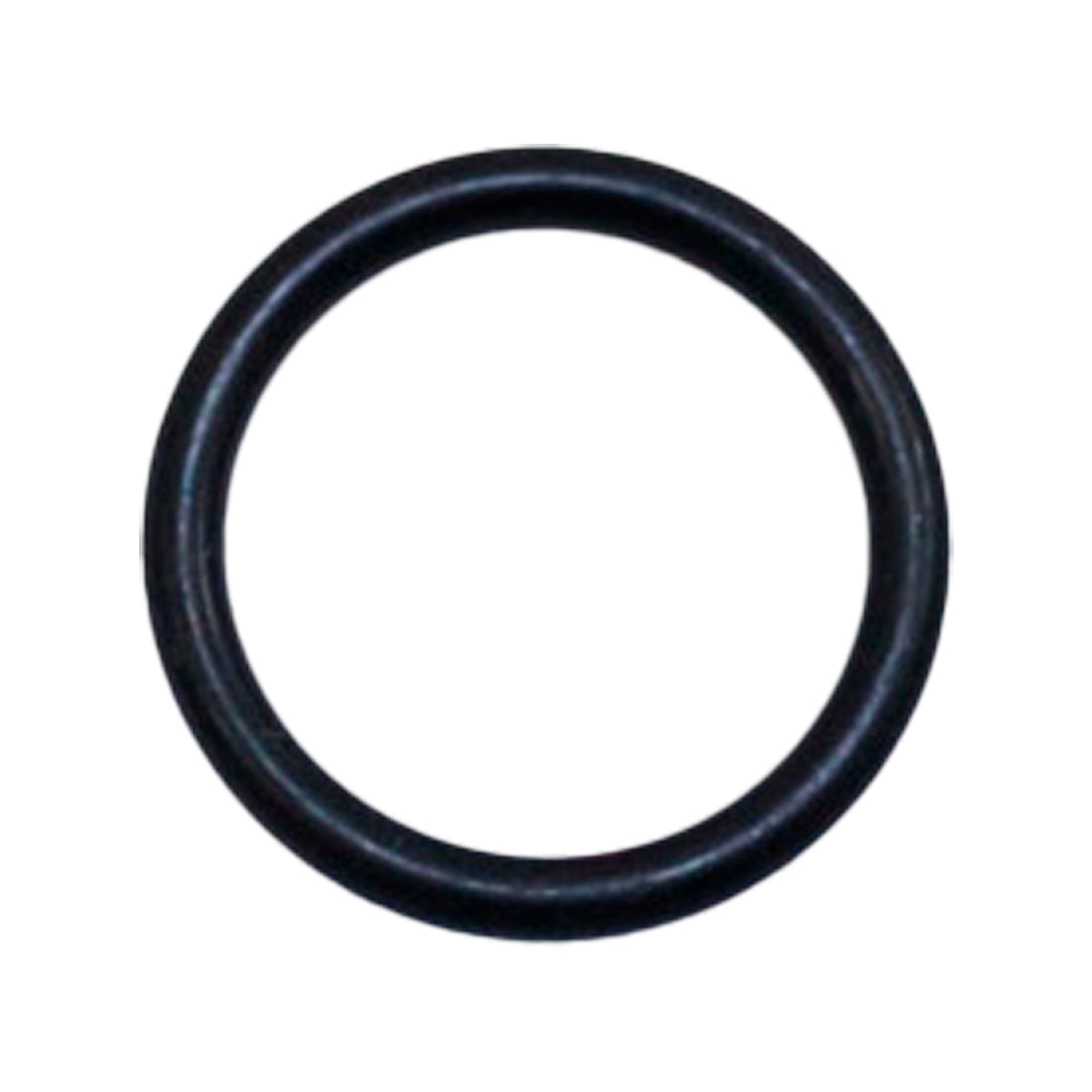 Oring | 190448A1